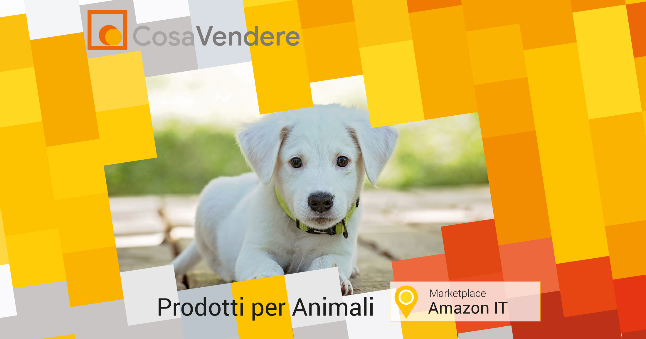 Come Vendere prodotti per animali in Amazon